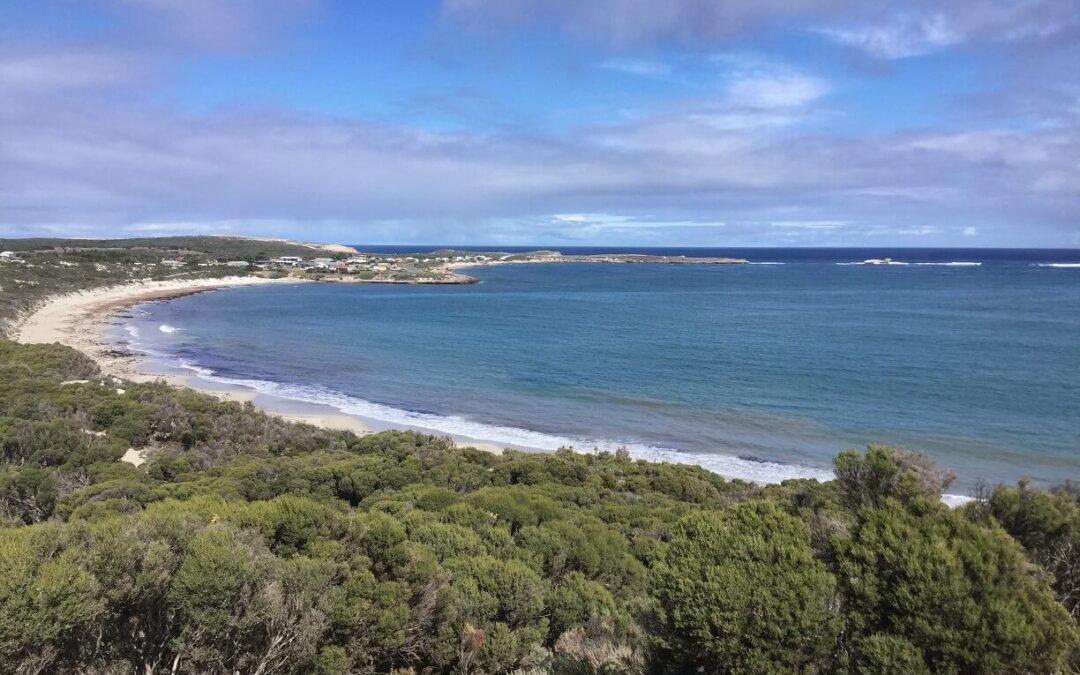 venus bay elliston